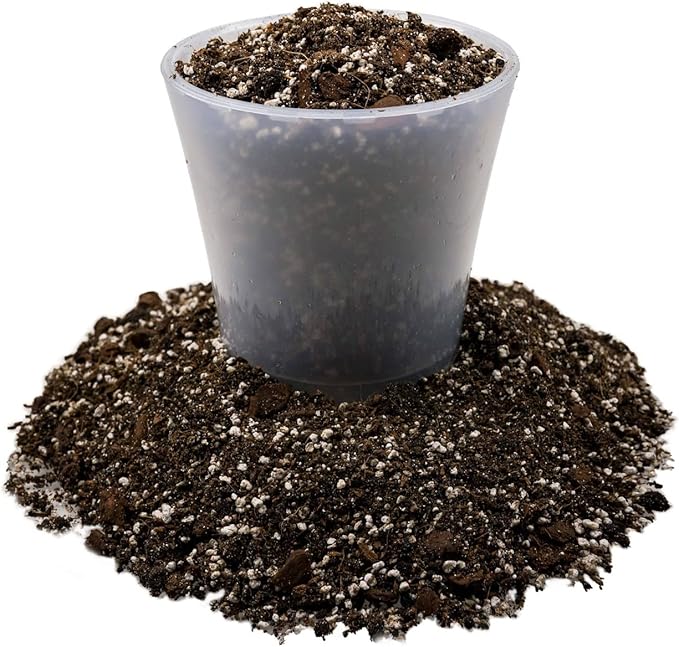 Gardenera Fiddle Leaf Fig House Plant Soil Premium All Purpose Blend - Peat Moss New Zealand Bark Coco Chips and Fibers Perlite - 4 Quart Bag