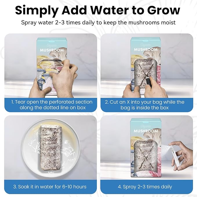 USA Organic 4lbs Lions Mane Mushroom Growing Kit Double-Side Mushroom Grow Kit Indoor Harvest Gourmet Mushrooms in 10 Days Top Gardening Gift Holiday Gift