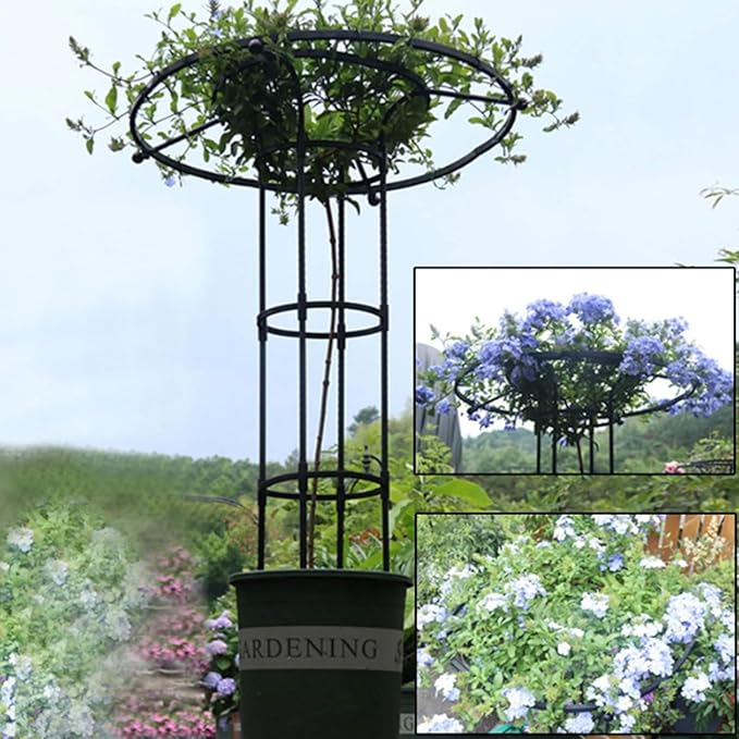 Vertical Umbrella Trellis for Climbing Plants and Flowers Rustproof Vertical Garden Trellis Wisteria Trellis Outdoor Flower Support Cage Climbing Stand Rack for Vines Rose(White180CM/70.9in)