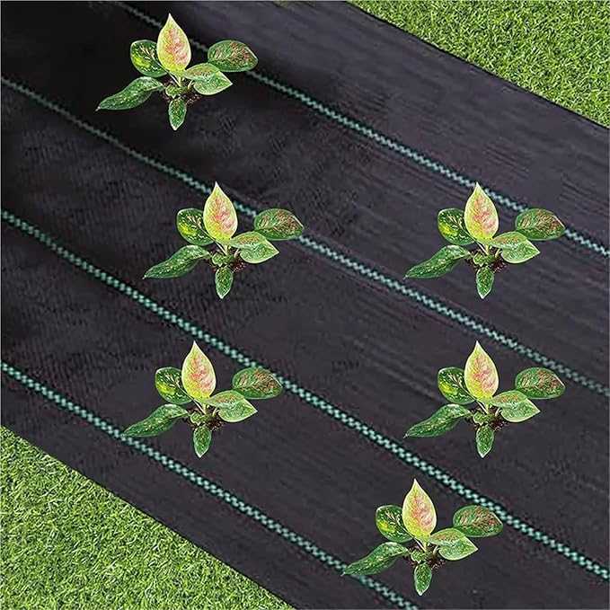 Weed Barrier Fabric Anti-Aging Weed Barrier Ground Cover PP Woven Control Fabric for Plant Anti Grass Greenhouse Mat(1x15M)