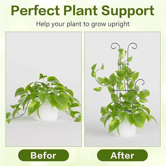 Plant Stand - Rust-Proof Stem Trellis - Garden Trellis for Climbing Plants | for Pothos Ivy Fruit Vegetable Cucumber Bean Flower Pots Planter House
