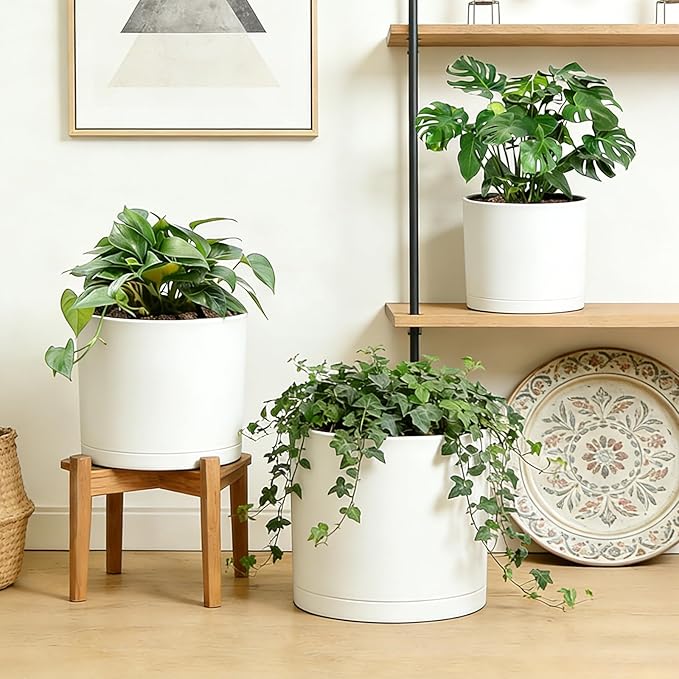 Large Plant Pots Set of 3 – 8 9 10 Indoor Flower Pots with Drainage Holes and Saucers Big Planters for Monstera Fiddle Leaf Fig Snake Plant – 5 Colors