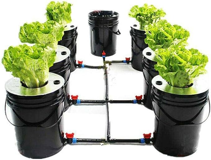 Hydroponic System 5 Gallon 6 Buckets Hydroponics Growing System Recirculating Growing Kit with Pump Air Stone and Water Leveling Device for Indoor/Outdoor Leafy Vegetables