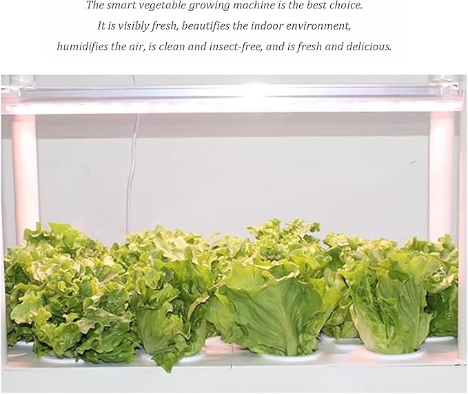 Indoor Hydroponics System Indoor Garden Hydroponic Growing Kits &amp SystemsHydroponics Tower with LED Grow LightIndoor Garden Hydroponic Growing System wyqdp240305(Color:Size:Three Layer)