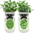 2-Pack Hydroponic Mason Jar Herb Garden Kit Indoor Herb Garden Self-Watering Starter Kit New Christmas Gift for Mom (MintPeppermint)