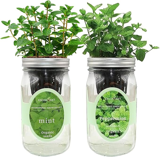 2-Pack Hydroponic Mason Jar Herb Garden Kit Indoor Herb Garden Self-Watering Starter Kit New Christmas Gift for Mom (MintPeppermint)