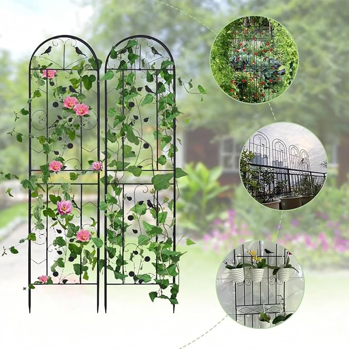 180 200 220cm Metal Decorative Garden Trellis Support Trellis for Climbing Plants Outdoor Roses Vine Cucumbers Vegetables Flower Support(180cm/70.87″)
