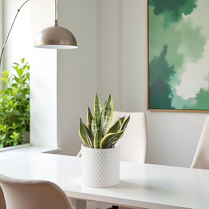 Docrin Ceramic Planters Indoor 8 Inch Plant Pot with Drainage Holes for Home/Office - White Honeycomb