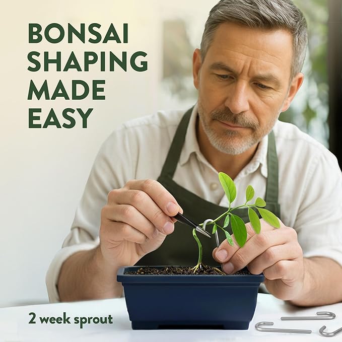 HOME GROWN Bonsai Tree Starter Kit – Unique Christmas Gift for Adults Men Women - Grow 4 Bonsais – DIY Crafts Hobby Gardening Kit for Plant Lovers Mom Dad - White Elephant Gifts for Adults
