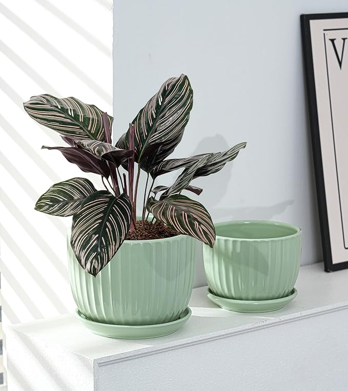 Ton Sin Flower Pots Light Green Ceramic Plant Pots Set of 3Small Glazed Succulent Pots with Drainage HoleCactus Planter with SaucerOutdoor Garden Pots (Green)