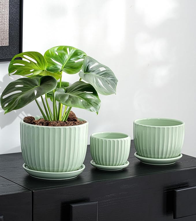 Ton Sin Flower Pots Light Green Ceramic Plant Pots Set of 3Small Glazed Succulent Pots with Drainage HoleCactus Planter with SaucerOutdoor Garden Pots (Green)