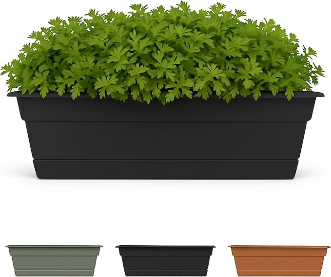 Bloem Dura Cotta 18 Black Resin Rectangle Window Box Planter with Saucer Tray for Indoor and Outdoor Gardening