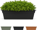 Bloem Dura Cotta 18 Black Resin Rectangle Window Box Planter with Saucer Tray for Indoor and Outdoor Gardening