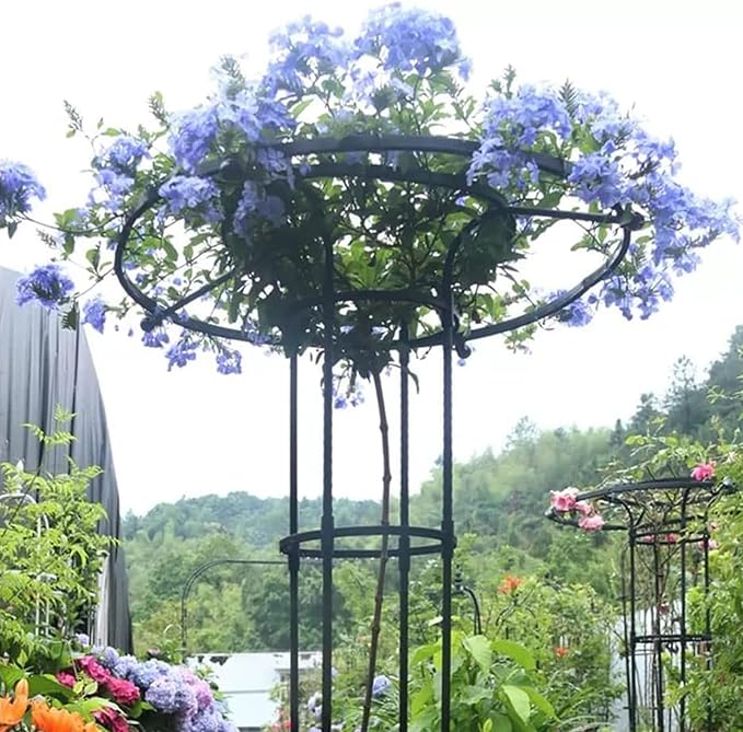 Umbrella Obelisk Garden Trellis Garden Trellis for Climbing Plants Outdoor Tall Plant Support for Climbing Vines and Flowers StandsBlack48 * 160 cm/18.8 * 63 in