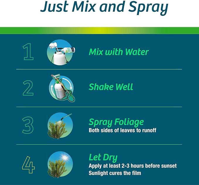 Wilt-Pruf® Concentrate | Protect Against Winter Damage Drought and Stress | Just Spray &amp Let Dry | Locks in Moisture w/Clear Foliar Film | Professional-Grade &amp Trusted | Replaces Burlap | (1