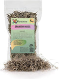 Premium Natural Spanish Moss | Natural Preserved - Great Ground Cover - Filler for Potted Plants - by GARDENERA - 5 Quart Bag