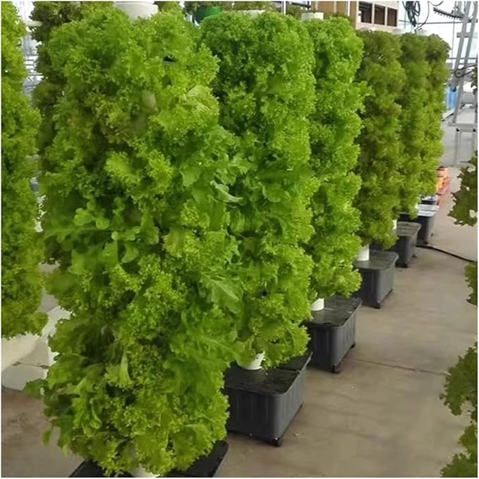 Hydroponic Equipment Hydroponics Growing System Smart Planter e with Full Spectrum LED Lights Automatic Timer Intellint Garden Tools Indoor Indoor Garden