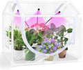 Indoor Mini Greenhouse with Grow Light Tabletop Small Greenhouse for Beginners All-in-One Tiny Plant Nursery Kit with Adjustable LED Light &amp Timer Smart Grow Tent for Herbs Gardening Gift