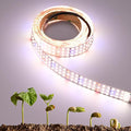 6.6FT LED Plant Grow Light 840LEDs Full Spectrum Grow Lamp with High PPFD 24V 55W Cuttable Plants Growing Light Strip Flexible Self Adhesive for Seedlings Veg Flower