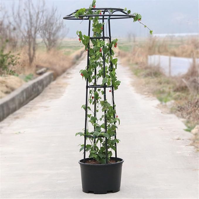 Garden Trellises Plant Garden Decoration for Climbing Vine Flower Metal Gardening Easy Install Trellis