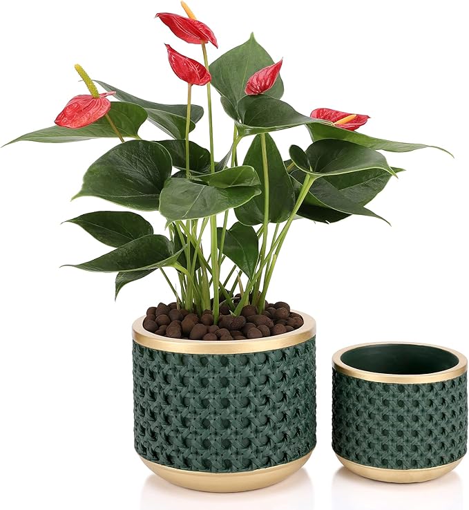 6&amp4.4 Inch Cement Planter Decorative Pots with Drainage Hole for All House Plants Succulents Flowers and Cactus (Gold Green)
