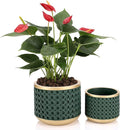 6&amp4.4 Inch Cement Planter Decorative Pots with Drainage Hole for All House Plants Succulents Flowers and Cactus (Gold Green)