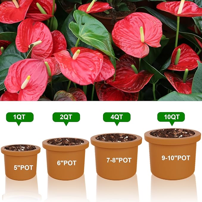 All-Natural Potting Soil for Anthurium &amp Indoor Plants 10qt - Enhanced Drainage No Additives | Premium Indoor Plant Soil Mix