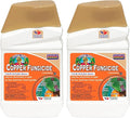 Bonide Captain Jack Copper Fungicide 16 oz Concentrated Plant Disease Control Solution for Organic Gardening (Pack of 2)
