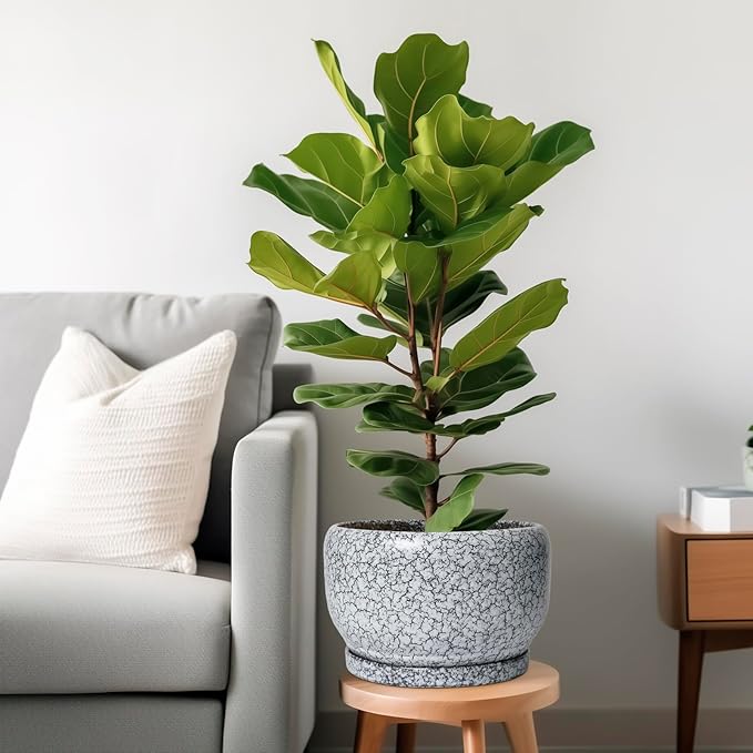 SQOWL Ceramic Planters - 10 Inch Ceramic Flower Pot with Drainage Hole and Saucer Decorative Plant Pot Indoor Round Large Planter Outdoor Bathroom Decor Gifts for Plant Lovers Black and White