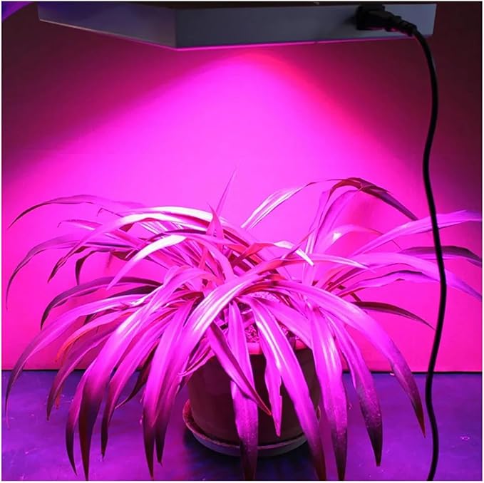 2pcs AC220V 10W 20W 30W 50W LED Grow COB Chip Phyto Lamp Full Spectrum for Indoor Plant Seedling Grow and Flower Growth Lighting DIY(Full Spectrum_10W 60X40MM)