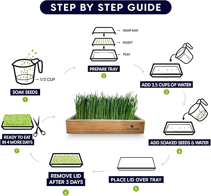 Self-Watering Cat Grass Kit – Grow Fresh Living Cat Grass at Home in 5–7 Days | No Soil No Mess | Organic Wheatgrass Seeds | Large Reusable Indoor Tray