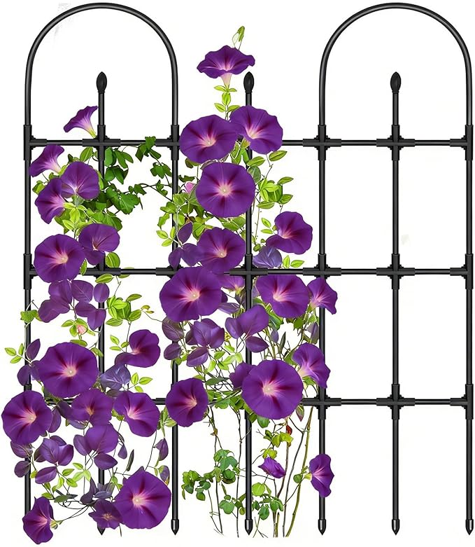 Trellis for Climbing Plants Outdoor | Metal Plant Support TrellisTomato Climbing Stakesfor Garden Balcony Backyard Tomato Flowers Vine Ivy Clematis