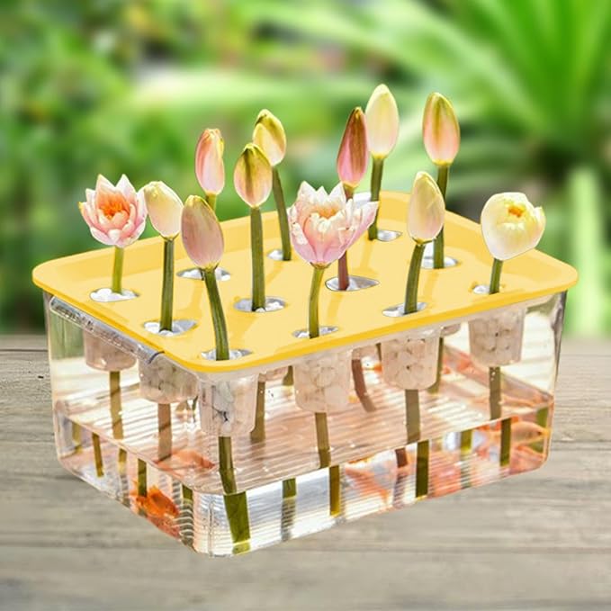 Hydroponic System Growing Kit Microgreens Growing Kit Garden Cabinet Box Easy to Use Indoor Hydroponics Tool for Vegetables Yellow Lid