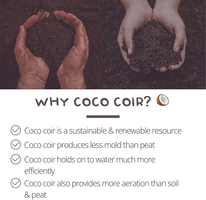 Pure Coco Coir Netted Seed Starting Pellets - 30mm - Pack of 100 - Renewable Unamended - Superior to Peat Plugs - Self Contained Soil &amp Pot in One - Grow Garden Seedlings