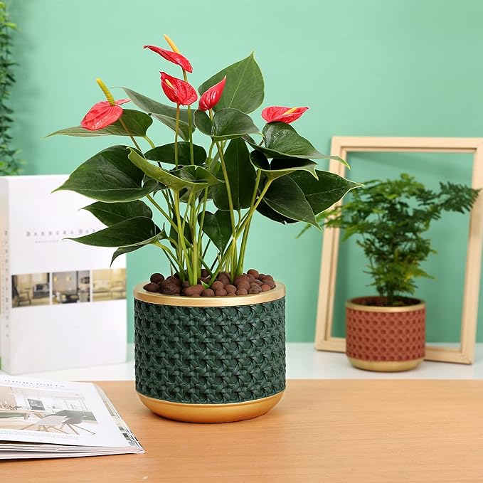 6&amp4.4 Inch Cement Planter Decorative Pots with Drainage Hole for All House Plants Succulents Flowers and Cactus (Gold Green)