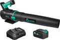DEXSO Cordless Leaf Blower - 650 CFM / 200 MPH2 Speed 21-Volt Lithium-ion 4.0Ah Battery and Charger Included