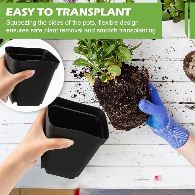 Square Nursery pots 4 Inches 60Pcs Seedling Plastic Seeds propogation Growing Pots (Black4Inches60Pcs)