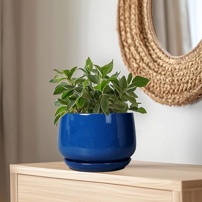 G EPGardening Ceramic Pots for Plants 9 Inch Modern Round Planter with Drainage and Tray Indoor Outdoor for Flower Patio Decor Housewarming Gifts Blue
