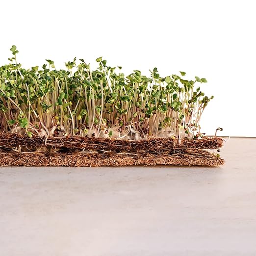Envelor 4 ft. x 8 ft. Coconut Fiber Planter Liner EN-CGS-4x8-1