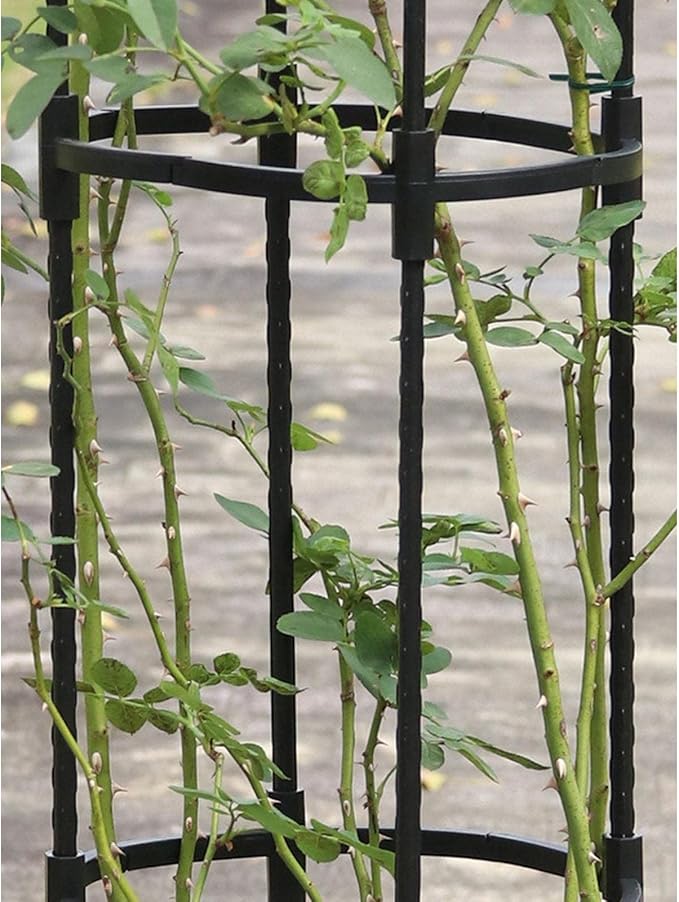 Tower Obelisk Garden Trellis U-Shaped Plant Stand Flower Climbing Frame Rust-Resistant Stainless Steel Flower Support