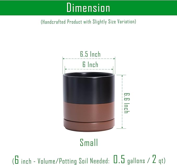 D'vine Dev 6.5 Inch Ceramic Planter Pot with Drainage Hole and Saucer Indoor Cylinder Round Planter Pot Black/Speckled Tan 94-O-C-7