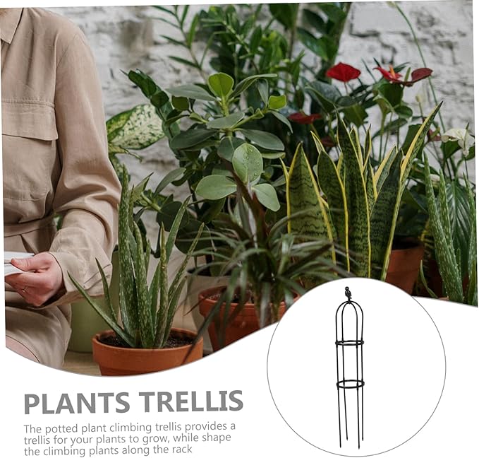 Sturdy Garden Trellis for Climbing Plants Outdoor Indoor Smooth Polished Plant Support Rack for Potted Vines Weather-Resistant Climbing Vine Frame Height