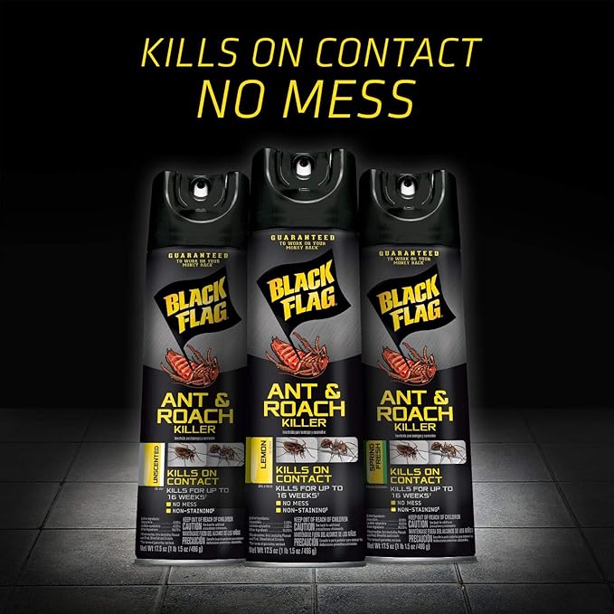 Black Flag Ant &amp Roach Killer Aerosol Lemon Scent 17.5-Ounce 12-Pack
