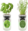 2-Pack Hydroponic Mason Jar Herb Garden Kit Indoor Herb Garden Self-Watering Starter Kit (BasilTarragon)