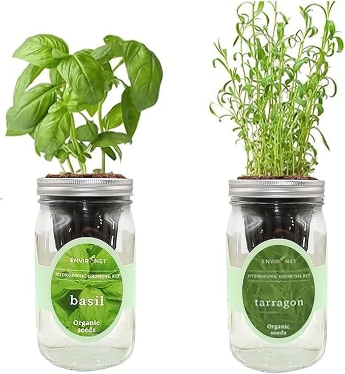 2-Pack Hydroponic Mason Jar Herb Garden Kit Indoor Herb Garden Self-Watering Starter Kit (BasilTarragon)