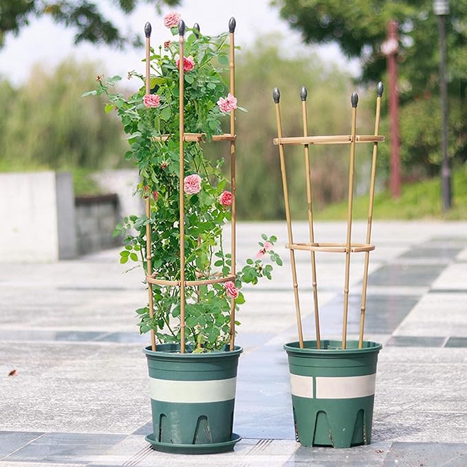 Trellis Climbing Plants 1 PC Thick Plastic-Coated Steel Plant Support Multifunctional Anti-Rust Outdoor Trellis Garden Flower Screen Cucumber Ivy Rose Grape Pea B Lackberry Vine W15*H90CM