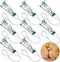 Qualirey 8 Pcs Gopher Trap with Chain Mole Vole Trap Gopher Killer Stainless Steel Weather Resistant for Lawn Garden Farm Outdoor (Green)