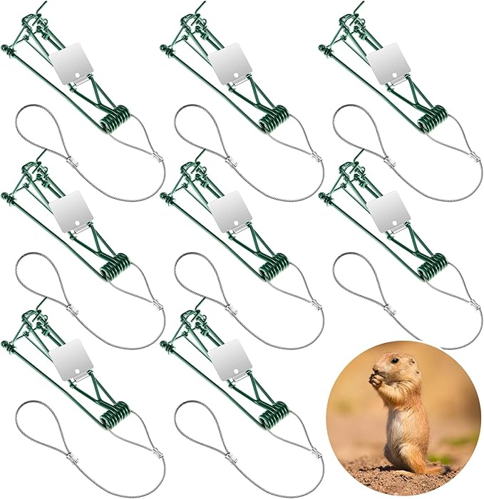 Qualirey 8 Pcs Gopher Trap with Chain Mole Vole Trap Gopher Killer Stainless Steel Weather Resistant for Lawn Garden Farm Outdoor (Green)