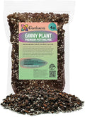 Premium Monstera Ginny Soil Blend - Specially Designed to Meet Your Plant's Unique Needs by Gardenera - 4 Quart