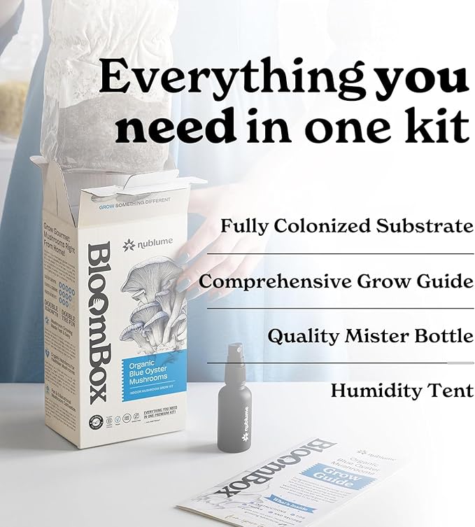 BloomBox Blue Oyster Mushroom Grow Kit – Ready to Fruit Indoor Gardening Gift – Organic Spawn Log for Fresh Fungi in 10 Days – Unique DIY STEM Science Project for Kids &amp Adults – Vegan Meat Substi